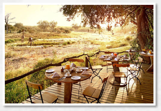 Motswari Game Reserve