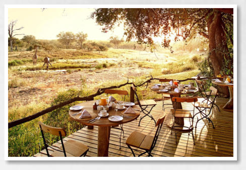 Motswari Game Reserve