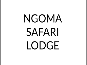 NGOMASAFARI LODGE